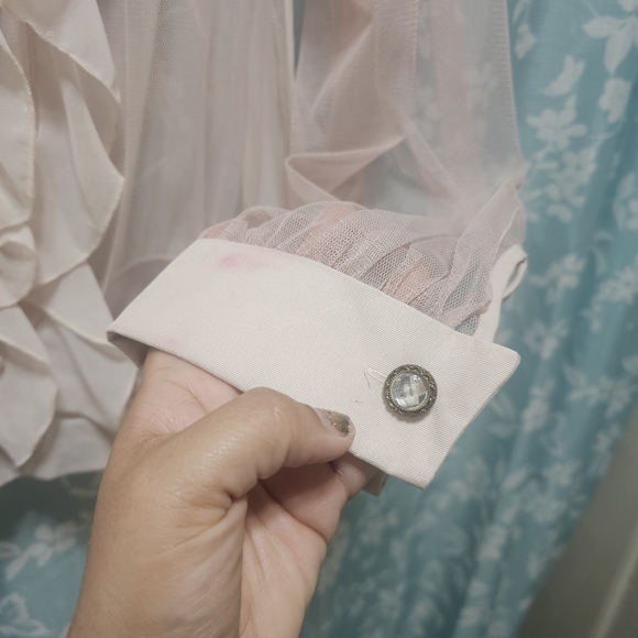 Twelve by twelve Elegant Sheer Ruffle Blouse, pale pink. size M - Picture 7 of 7